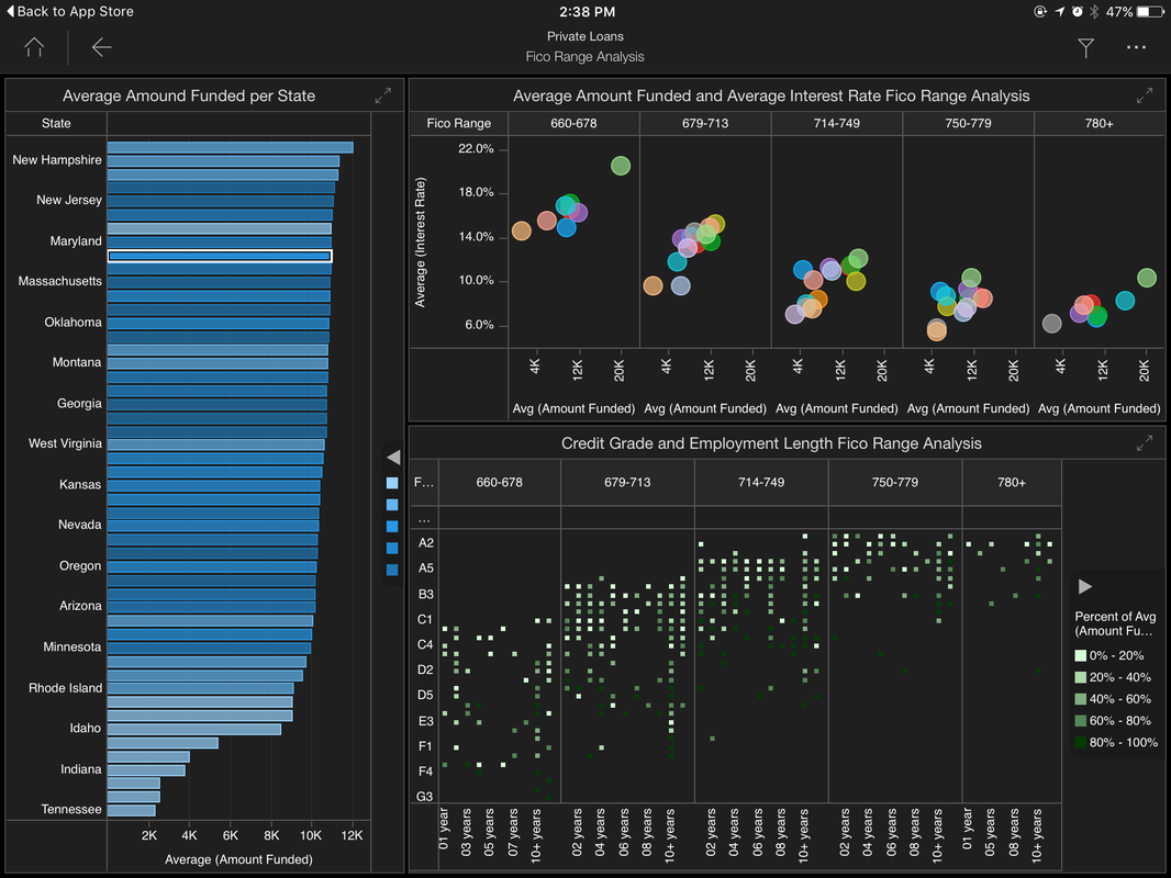 MicroStrategy Visual Insights — On iPad (1)