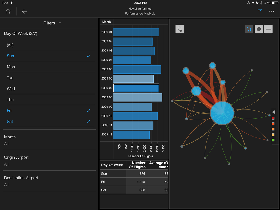 MicroStrategy Visual Insights — On iPad (5)