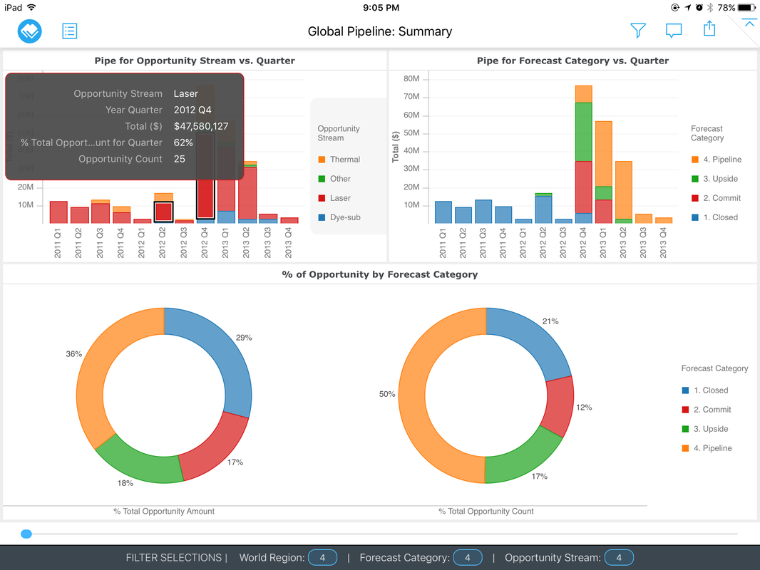 MicroStrategy Visual Insights — On iPad (14)