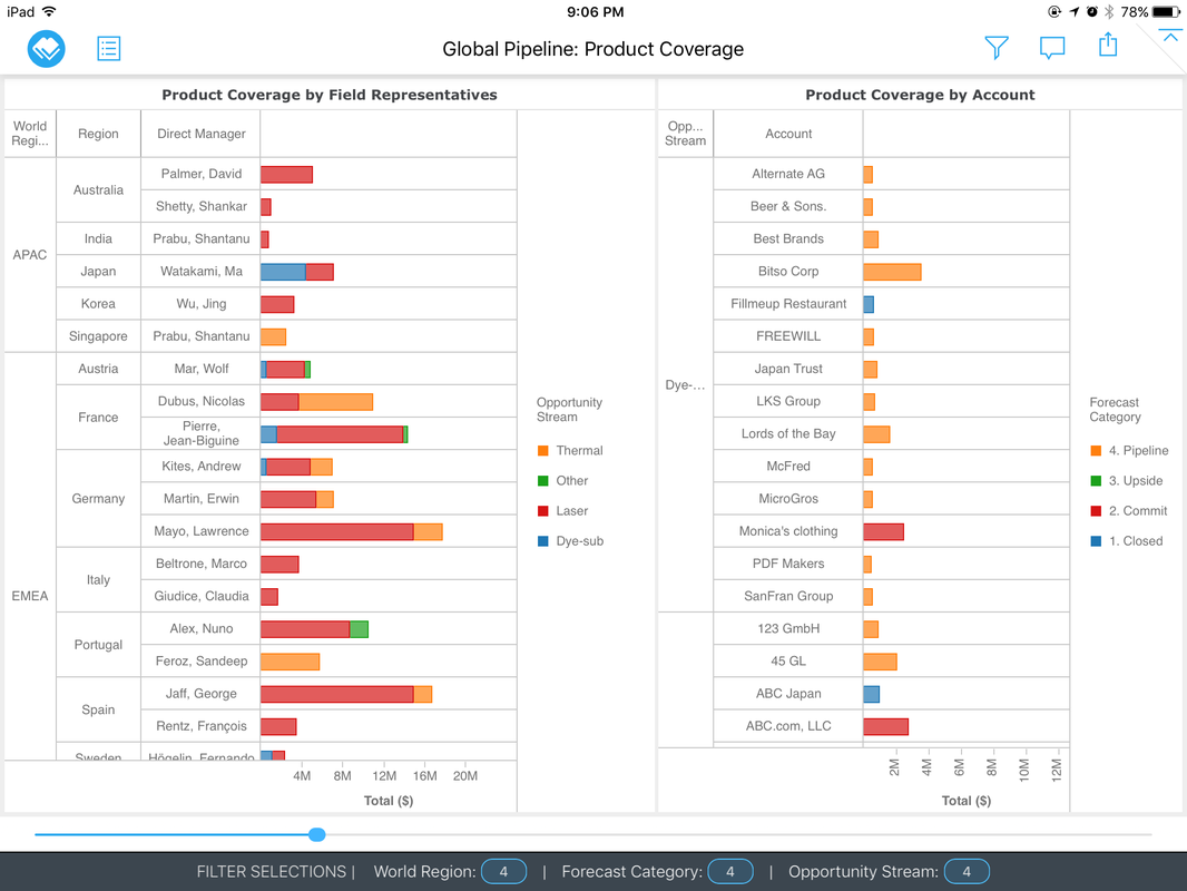 MicroStrategy Visual Insights — On iPad (17)